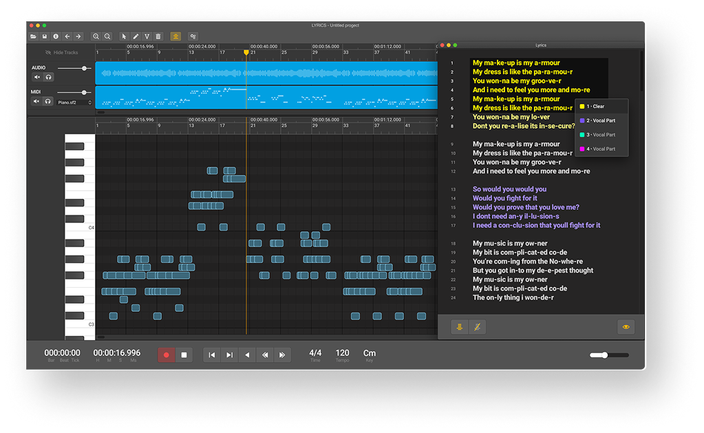 DAW Lyrics editor — full view